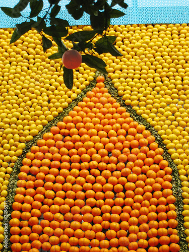 fête du citron