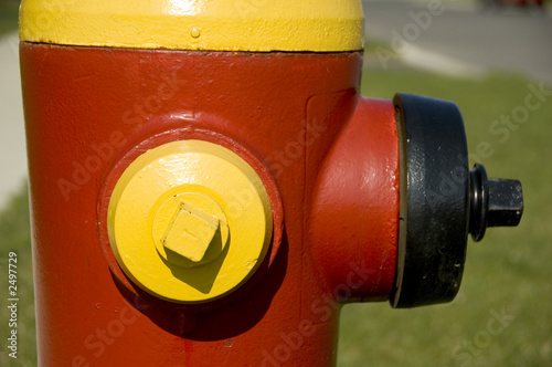 red and yellow hydrant on a suburban street photo