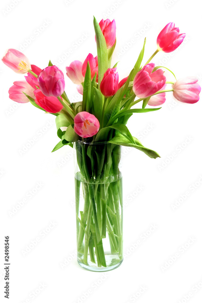 pink tulips