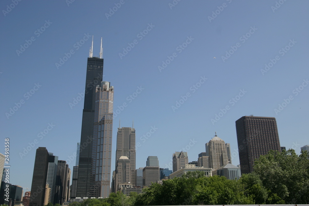 Fototapeta premium chicago, illinois.