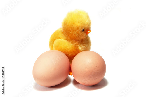 two eggs and chicken on white