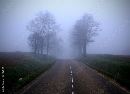 the mystery road to nowhere