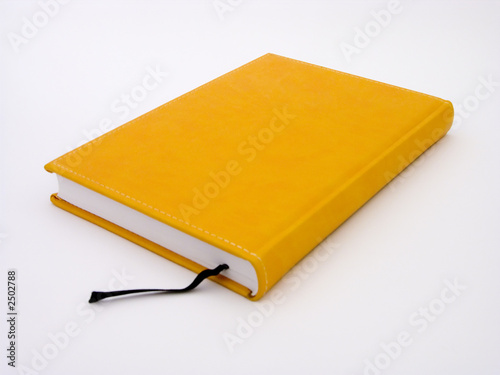 yellow book photo