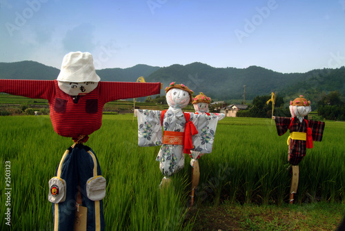 scarecrow