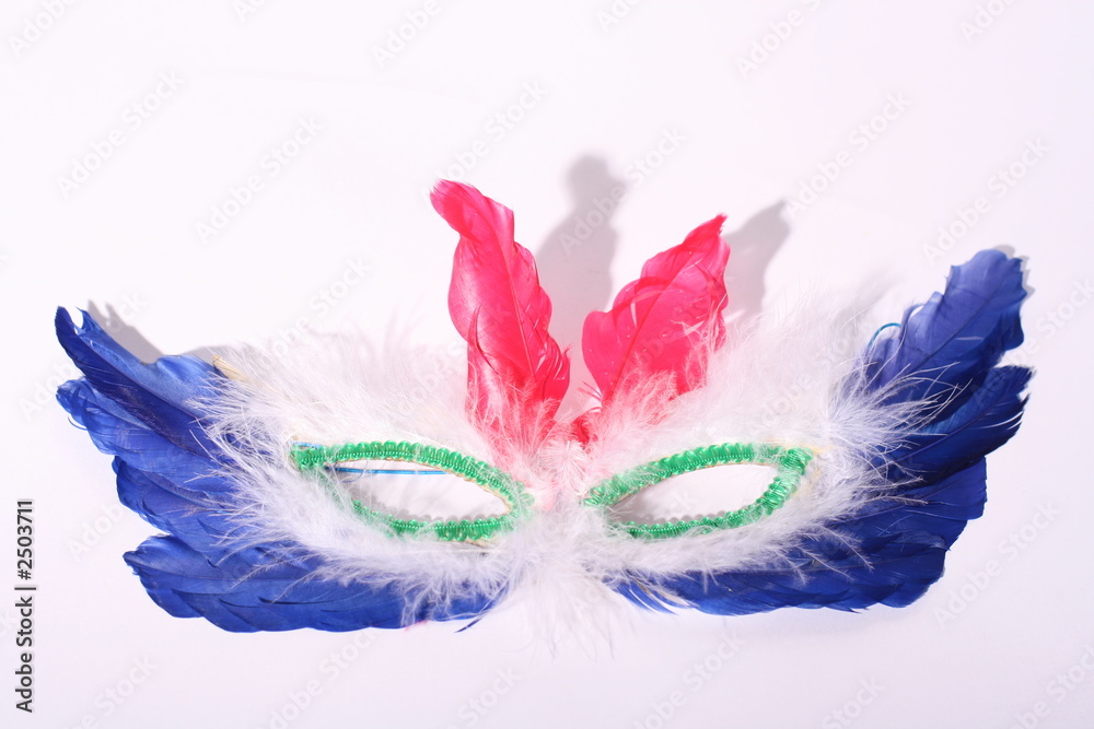Obraz premium carnival mask