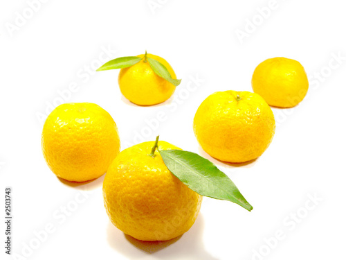 cinco tangerinas