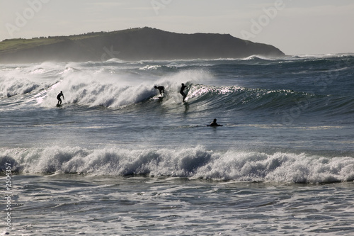 dee why surfers