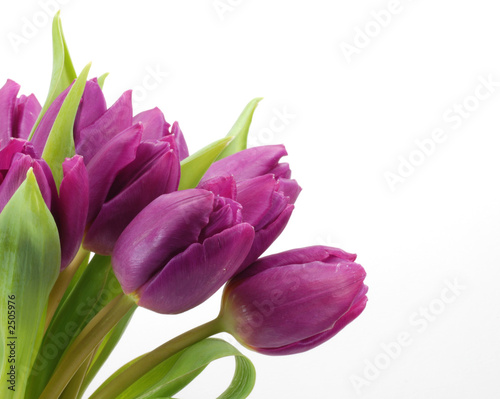 springtime
