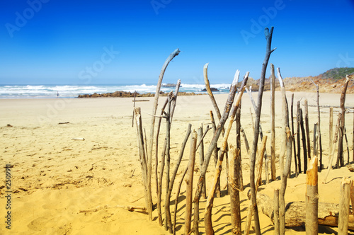 stretch of beach in knysna  south africa