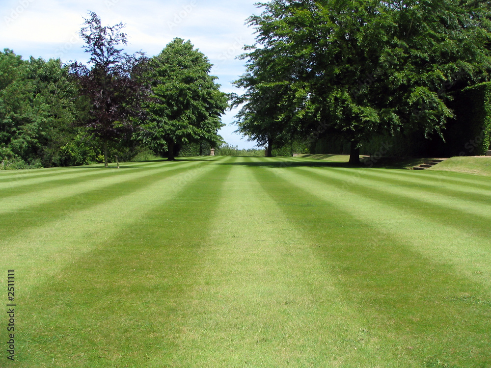a neat lawn in a formal park