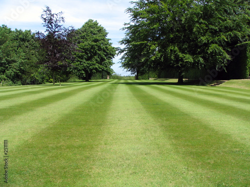 a neat lawn in a formal park