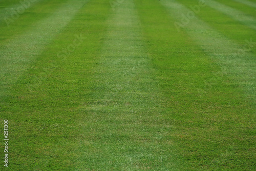 view of a neatly mowed striped lawn, 90deg to the lines