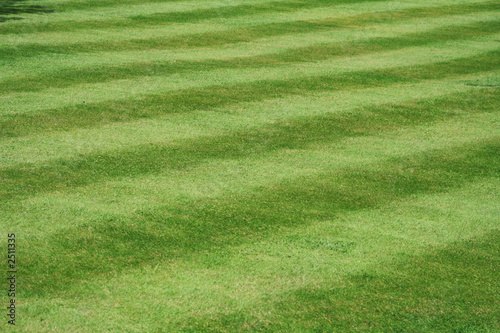 a view of a neatly mown lawn, 45 deg to the stripe