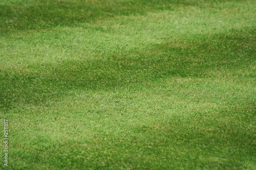 a lawn of neatly mown grass, 45deg to the stripe