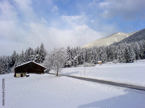 lonely house in winter landscape © PinkShot