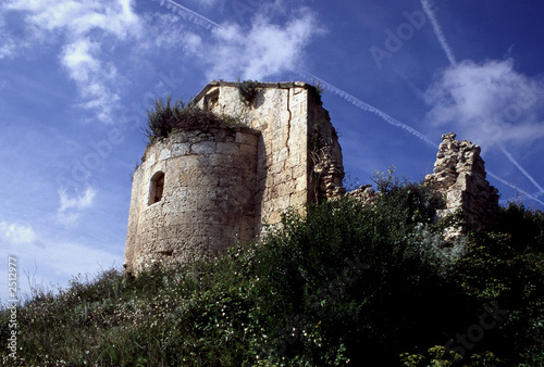 osilo(ss) photo
