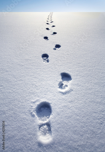 winter path