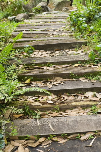 wooden steps