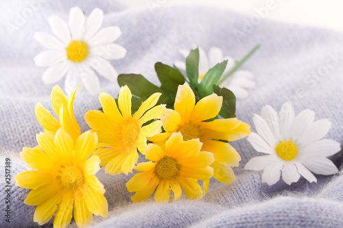 composition with flowers.