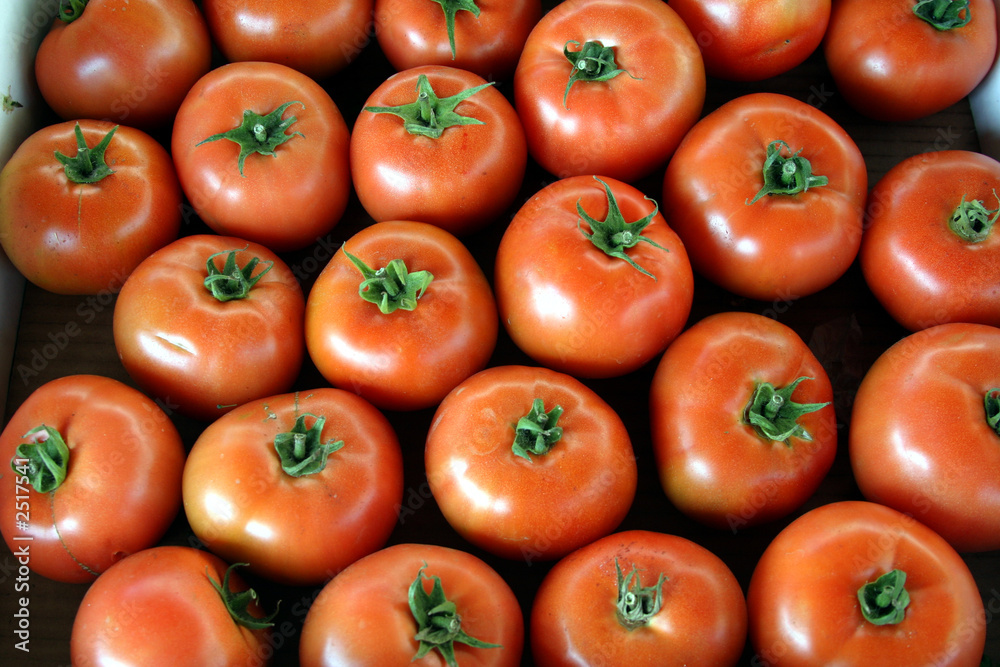 tomatoes tomatoes