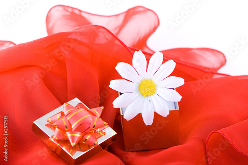 composition with flowers.