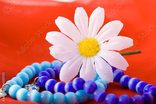 composition with flowers.