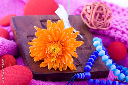 composition with flowers.