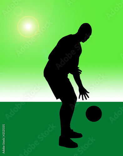 basket2
