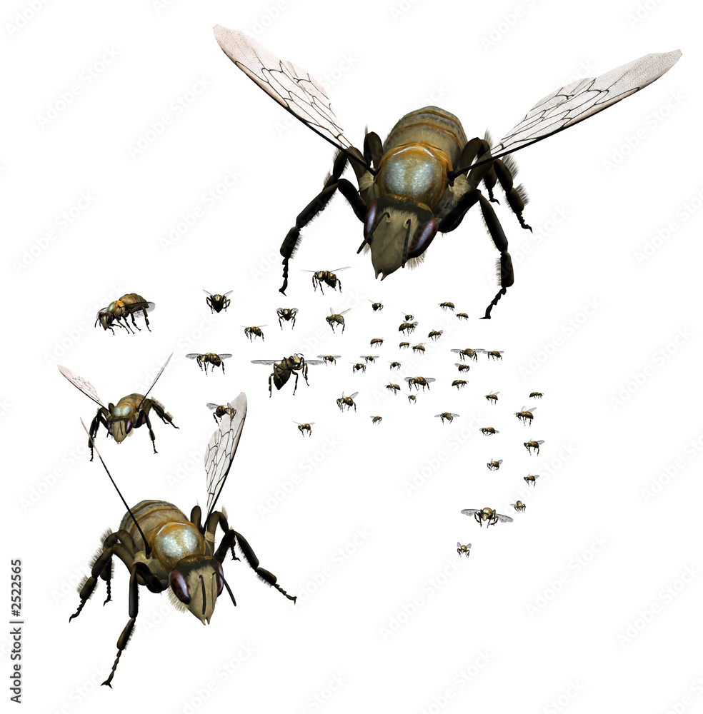 Fototapeta premium swarm of bees