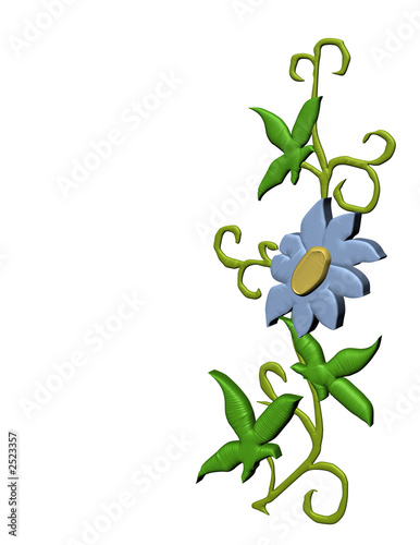 isolated border flower