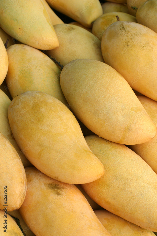 lots of mangos lots of mangos