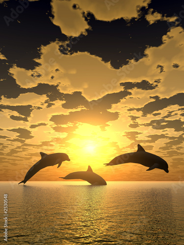 Fototapeta Naklejka Na Ścianę i Meble -  dolphin yellow sunset