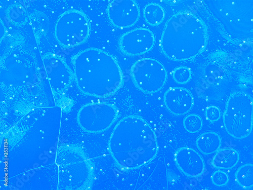 ice crystals_3