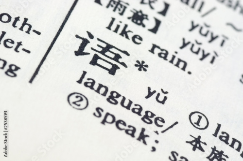 language written in chinese photo
