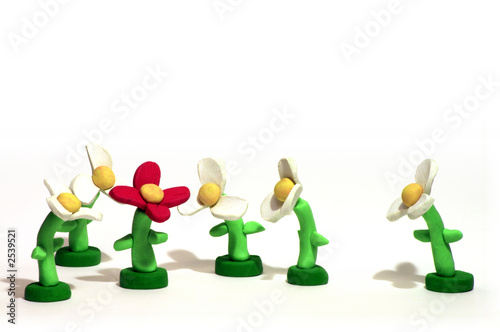 red flower among white, individuality concept
