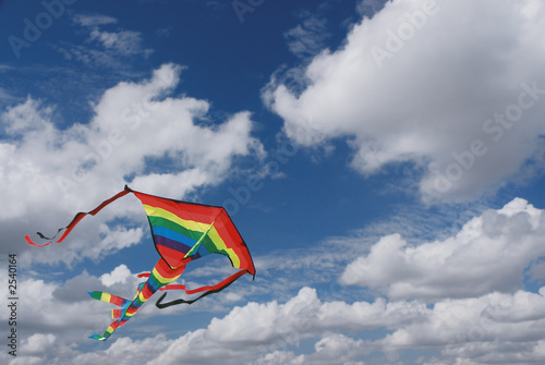 kite in cloudy sky