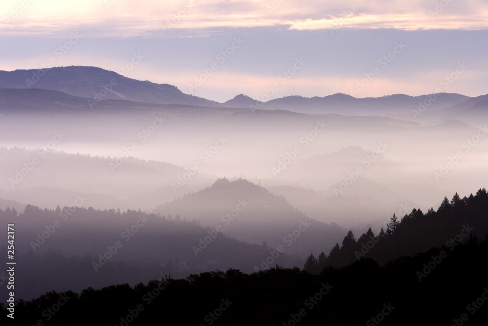 Fototapeta premium fog landscape