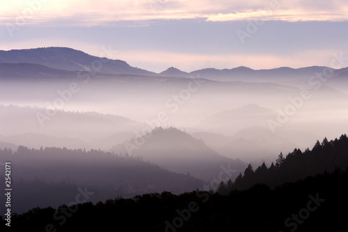 fog landscape