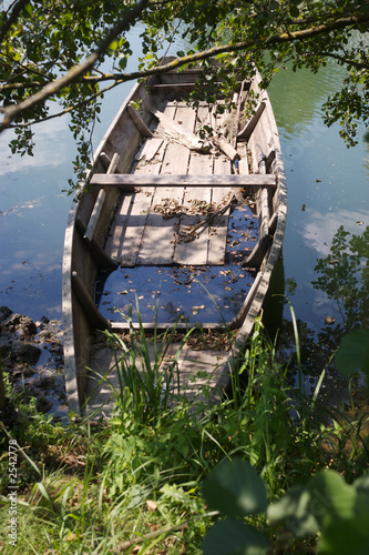 river boat1 photo