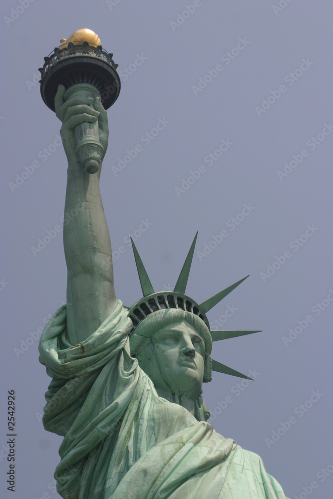 Fototapeta premium the statue of liberty