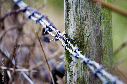 barbed wire