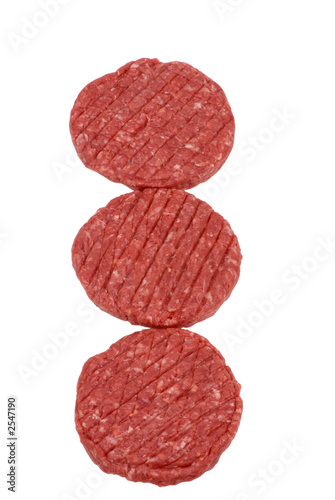 hamburger series (raw meat)