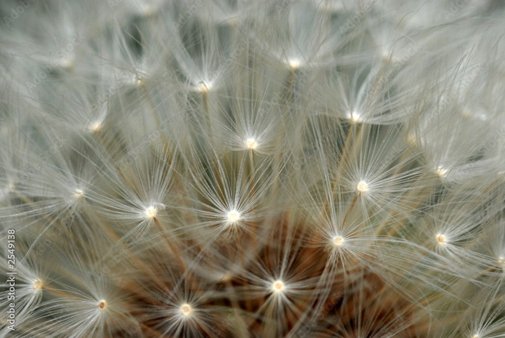 Naklejka premium neue planeten