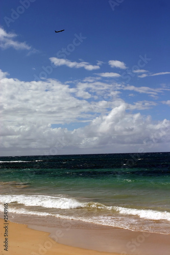 plane at maui beach