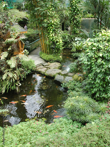garden with koi ponds2