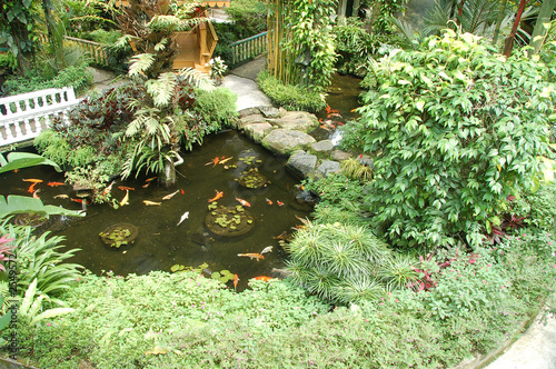 garden with koi ponds3