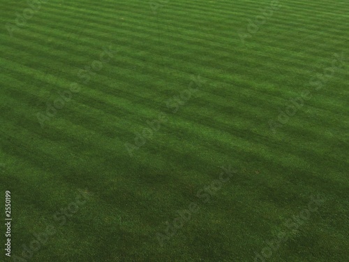 green expanse