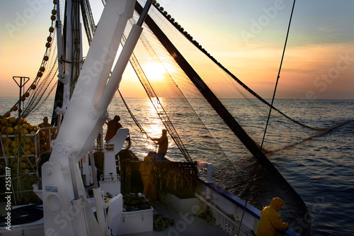 la pêche au thon-23