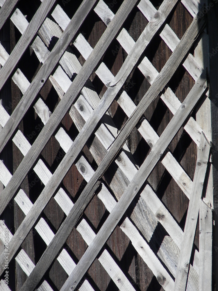 lattice lattice