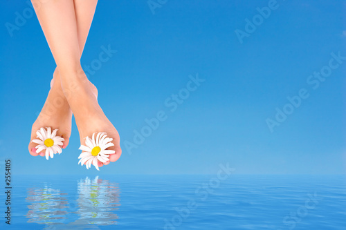 Fotografia woman legs